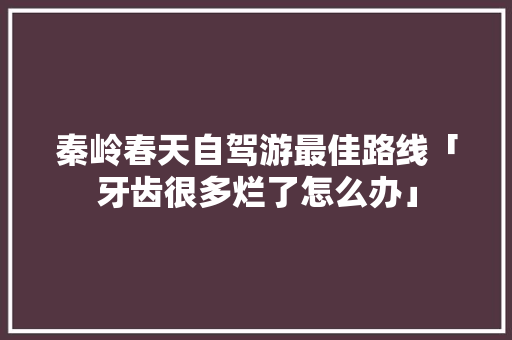 秦岭春天自驾游最佳路线「牙齿很多烂了怎么办」
