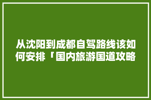 从沈阳到成都自驾路线该如何安排「国内旅游国道攻略大全图片」