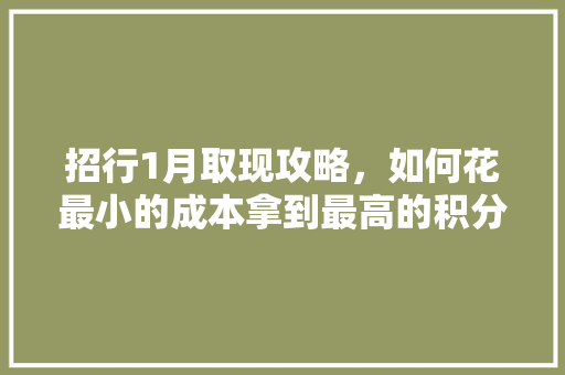招行1月取现攻略，如何花最小的成本拿到最高的积分「1月国内旅游攻略大全」