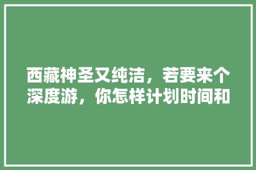 西藏神圣又纯洁，若要来个深度游，你怎样计划时间和行程及费用「国内旅游攻略九月十一日」