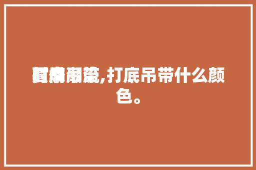 时尚潮流

夏季

打底吊带,打底吊带什么颜色。 时尚潮流

夏季

打底吊带,打底吊带什么颜色。 时尚潮流