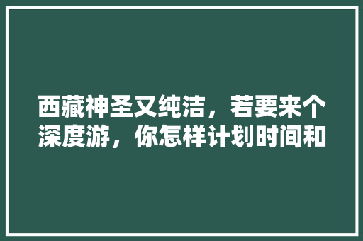 西藏神圣又纯洁，若要来个深度游，你怎样计划时间和行程及费用「外国人来国内旅游攻略图」