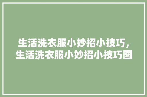 生活洗衣服小妙招小技巧，生活洗衣服小妙招小技巧图片。 生活洗衣服小妙招小技巧，生活洗衣服小妙招小技巧图片。 生活技巧