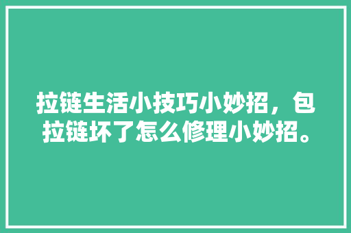 拉链生活小技巧小妙招，包拉链坏了怎么修理小妙招。 拉链生活小技巧小妙招，包拉链坏了怎么修理小妙招。 生活技巧