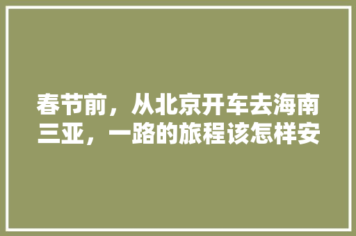 春节前，从北京开车去海南三亚，一路的旅程该怎样安排？有哪些景点值得参观？需要注意些什么「北京到国内旅游路线攻略图」 春节前，从北京开车去海南三亚，一路的旅程该怎样安排？有哪些景点值得参观？需要注意些什么「北京到国内旅游路线攻略图」 旅游指南
