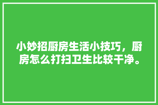 小妙招厨房生活小技巧，厨房怎么打扫卫生比较干净。 小妙招厨房生活小技巧，厨房怎么打扫卫生比较干净。 生活技巧