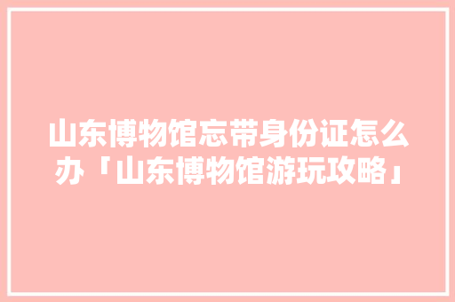 山东博物馆忘带身份证怎么办「山东博物馆游玩攻略」