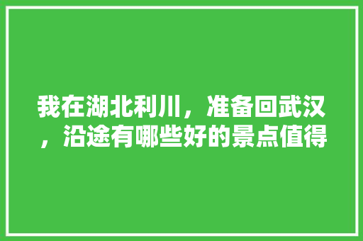 我在湖北利川，准备回武汉，沿途有哪些好的景点值得一游「武汉自由行国内旅游攻略路线」 我在湖北利川，准备回武汉，沿途有哪些好的景点值得一游「武汉自由行国内旅游攻略路线」 旅游指南