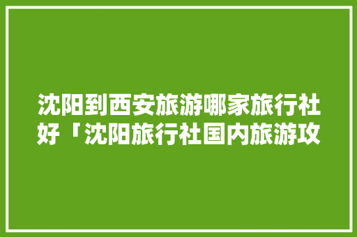 沈阳到西安旅游哪家旅行社好「沈阳旅行社国内旅游攻略大全」 沈阳到西安旅游哪家旅行社好「沈阳旅行社国内旅游攻略大全」 美食食谱