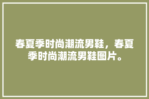 春夏季时尚潮流男鞋，春夏季时尚潮流男鞋图片。 春夏季时尚潮流男鞋，春夏季时尚潮流男鞋图片。 时尚潮流