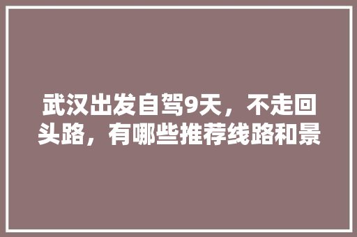 武汉出发自驾9天，不走回头路，有哪些推荐线路和景点「武汉出发国内旅游攻略路线」