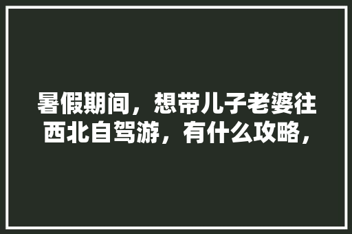 暑假期间，想带儿子老婆往西北自驾游，有什么攻略，谢谢「中国旅游设计」