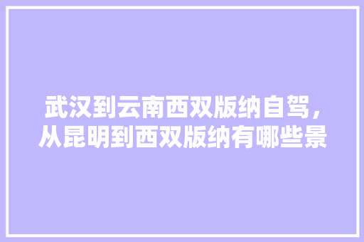 武汉到云南西双版纳自驾，从昆明到西双版纳有哪些景点，边玩边走需要几天「国内旅游攻略英文版下载」 武汉到云南西双版纳自驾，从昆明到西双版纳有哪些景点，边玩边走需要几天「国内旅游攻略英文版下载」 健康知识