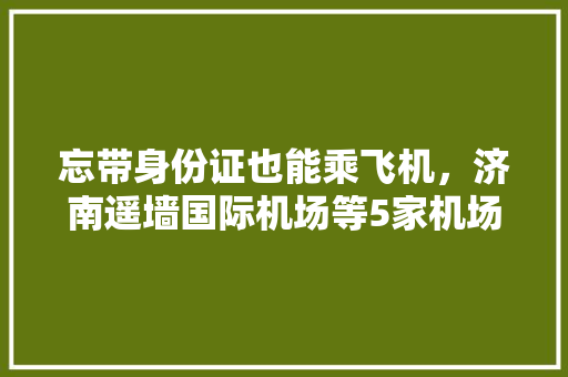 忘带身份证也能乘飞机，济南遥墙国际机场等5家机场本月即可实现, 你怎么看「济南机场有什么好玩的地方」