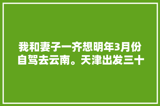 我和妻子一齐想明年3月份自驾去云南。天津出发三十天左右，具体线路和值得去哪儿「云南5天攻略国内旅游线路」