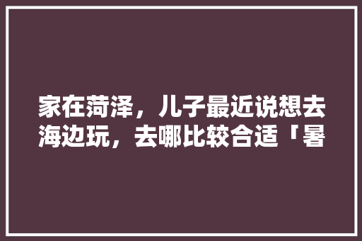 家在菏泽，儿子最近说想去海边玩，去哪比较合适「暑假国内旅游大海攻略图」 家在菏泽，儿子最近说想去海边玩，去哪比较合适「暑假国内旅游大海攻略图」 家庭生活