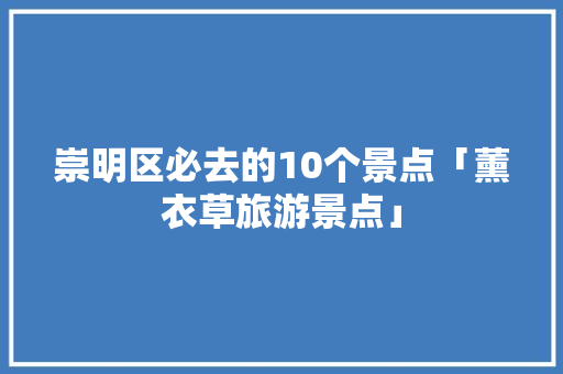 崇明区必去的10个景点「薰衣草旅游景点」 崇明区必去的10个景点「薰衣草旅游景点」 时尚潮流