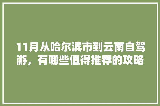 11月从哈尔滨市到云南自驾游，有哪些值得推荐的攻略「11月国内旅游攻略」 11月从哈尔滨市到云南自驾游，有哪些值得推荐的攻略「11月国内旅游攻略」 美食食谱