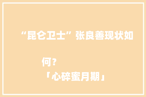 “昆仑卫士”张良善现状如何？
「心碎蜜月期」