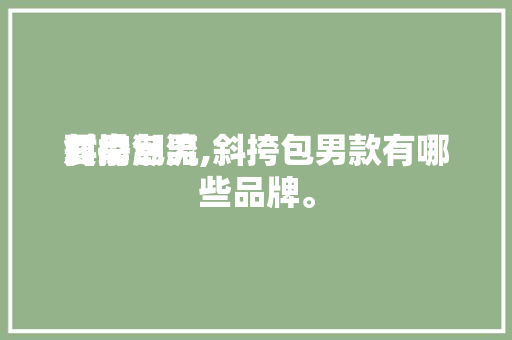 夏季

时尚潮流

斜挎包男,斜挎包男款有哪些品牌。 夏季

时尚潮流

斜挎包男,斜挎包男款有哪些品牌。 时尚潮流