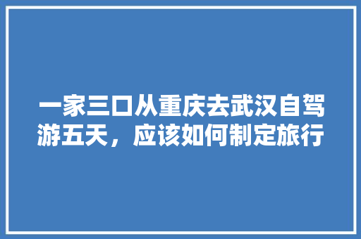 一家三口从重庆去武汉自驾游五天，应该如何制定旅行计划「国内旅游攻略计划有哪些」