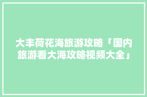 大丰荷花海旅游攻略「国内旅游看大海攻略视频大全」 大丰荷花海旅游攻略「国内旅游看大海攻略视频大全」 美食食谱