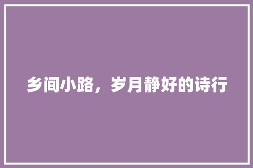 乡间小路，岁月静好的诗行