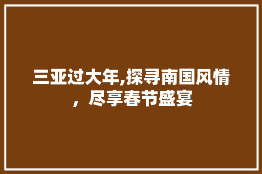 三亚过大年,探寻南国风情，尽享春节盛宴