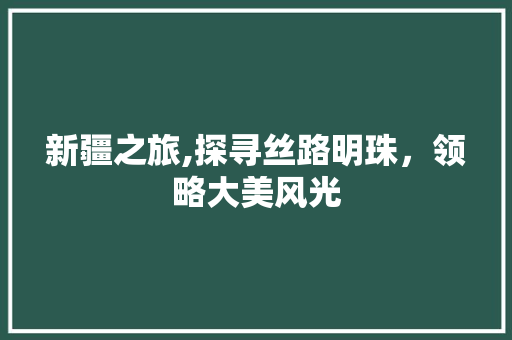 新疆之旅,探寻丝路明珠，领略大美风光 家庭生活
