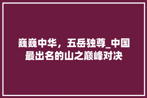巍巍中华，五岳独尊_中国最出名的山之巅峰对决