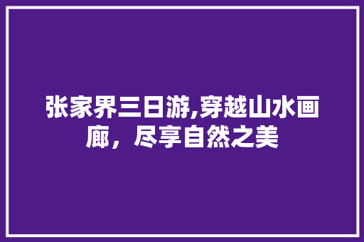 张家界三日游,穿越山水画廊，尽享自然之美