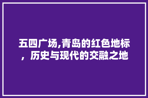五四广场,青岛的红色地标，历史与现代的交融之地