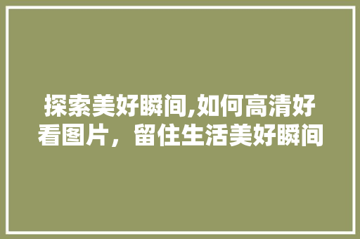 探索美好瞬间,如何高清好看图片，留住生活美好瞬间 时尚潮流