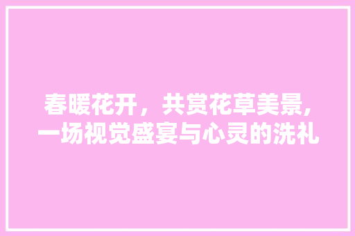 春暖花开，共赏花草美景,一场视觉盛宴与心灵的洗礼 美食食谱