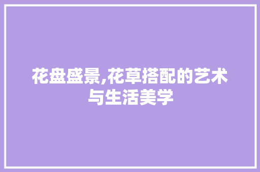 花盘盛景,花草搭配的艺术与生活美学