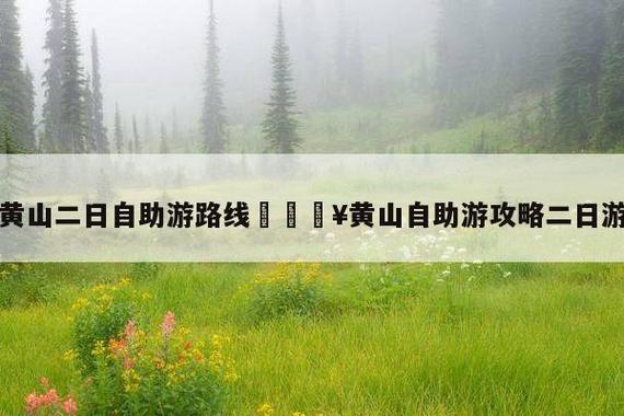 哪个网站的自助游旅游攻略较好，求推荐「国内旅游新手攻略大全」 哪个网站的自助游旅游攻略较好，求推荐「国内旅游新手攻略大全」 旅游指南