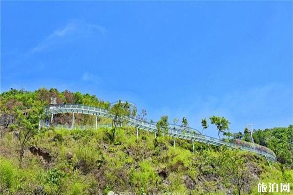 衢州周边亲子游有什么好玩的景点，想带着孩子进行一次研学旅游「国内旅游黄山亲子游攻略」 衢州周边亲子游有什么好玩的景点，想带着孩子进行一次研学旅游「国内旅游黄山亲子游攻略」 时尚潮流