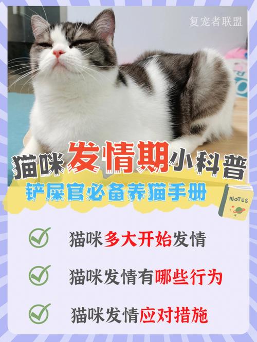 豆瓣养猫生活指南下载，豆瓣爱猫生活申请理由写什么。 豆瓣养猫生活指南下载，豆瓣爱猫生活申请理由写什么。 家庭生活