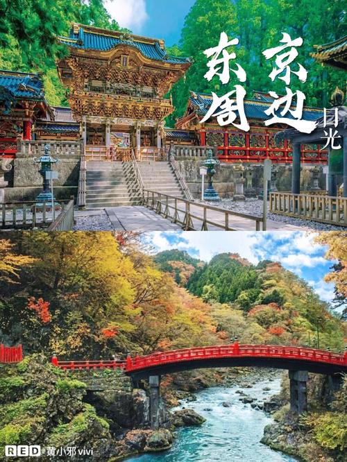 中国人去东京有限制吗「东京入境国内旅游攻略最新」 美食食谱 中国人去东京有限制吗「东京入境国内旅游攻略最新」 中国人去东京有限制吗「东京入境国内旅游攻略最新」 美食食谱