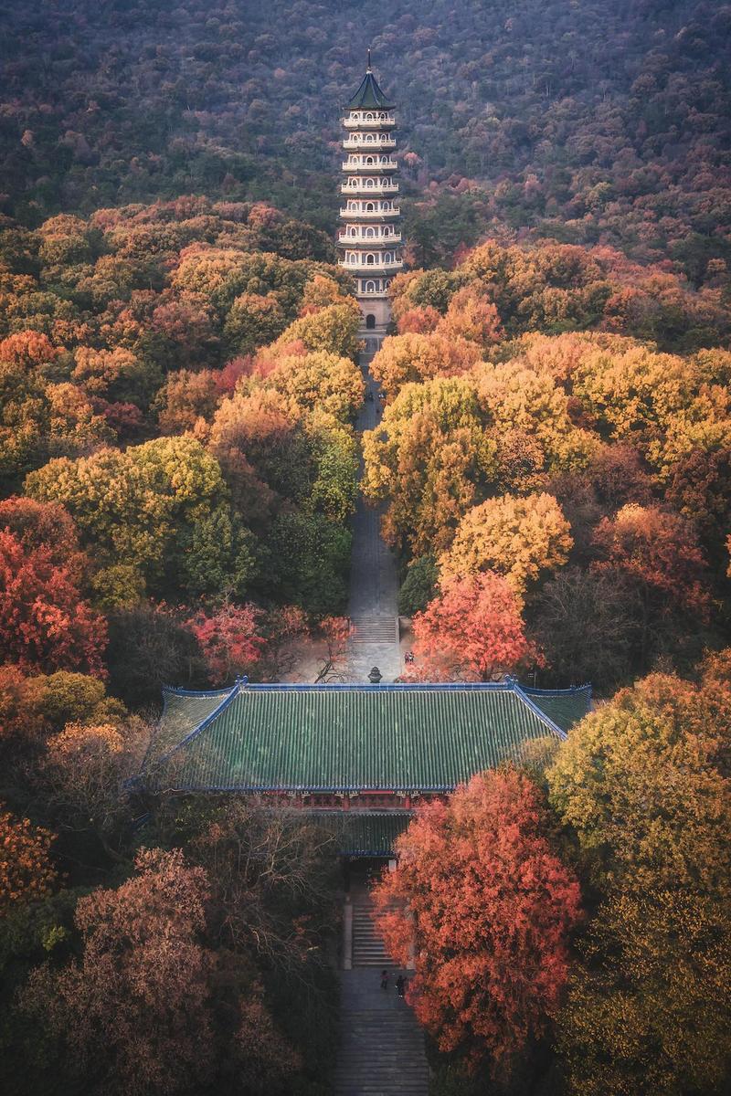 南京秋天适合去哪旅游「南京秋季国内旅游攻略大全」 健康知识 南京秋天适合去哪旅游「南京秋季国内旅游攻略大全」 南京秋天适合去哪旅游「南京秋季国内旅游攻略大全」 健康知识