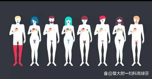 跨性别生活指南,性别认知障碍和跨性别者的区别。 家庭生活 跨性别生活指南,性别认知障碍和跨性别者的区别。 跨性别生活指南,性别认知障碍和跨性别者的区别。 家庭生活