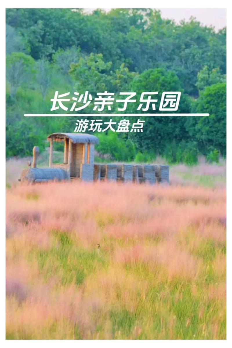 十一长沙亲子旅游攻略「长沙旅游好玩的地方」 十一长沙亲子旅游攻略「长沙旅游好玩的地方」 美食食谱