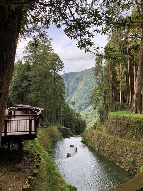 去台湾旅游怎么到阿里山比较方便「阿里山旅游攻略必玩的景点」 生活技巧 去台湾旅游怎么到阿里山比较方便「阿里山旅游攻略必玩的景点」 去台湾旅游怎么到阿里山比较方便「阿里山旅游攻略必玩的景点」 生活技巧