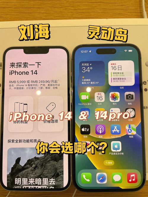 苹果系统的海岛咋样在华为手机玩「苹果旅游app」 苹果系统的海岛咋样在华为手机玩「苹果旅游app」 生活技巧