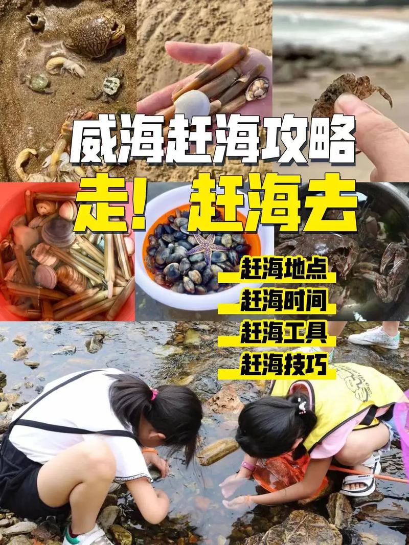 威海乳山银滩赶海有意思吗?有什么攻略呢「国内旅游赶海攻略图文大全」 美食食谱 威海乳山银滩赶海有意思吗?有什么攻略呢「国内旅游赶海攻略图文大全」 威海乳山银滩赶海有意思吗?有什么攻略呢「国内旅游赶海攻略图文大全」 美食食谱