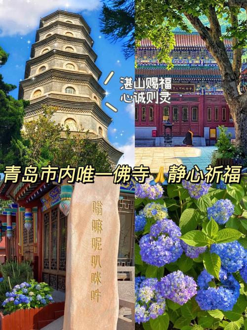 今年想自驾(轩逸)和夫人从青岛去张家口游玩一周,求攻略「国内旅游青岛攻略两天多少钱」 健康知识 今年想自驾(轩逸)和夫人从青岛去张家口游玩一周,求攻略「国内旅游青岛攻略两天多少钱」 今年想自驾(轩逸)和夫人从青岛去张家口游玩一周,求攻略「国内旅游青岛攻略两天多少钱」 健康知识