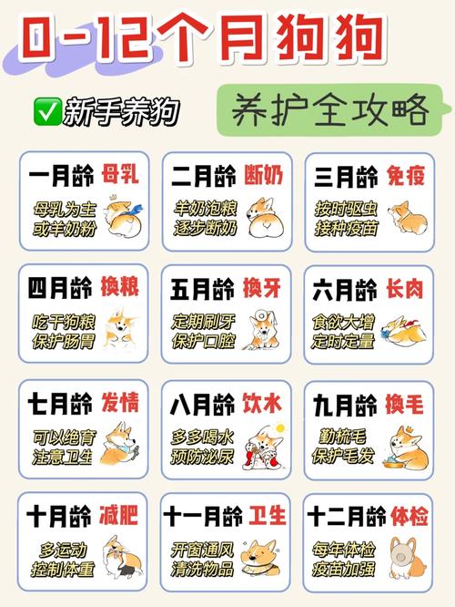 幼犬生活指南怎么写,幼犬生活指南怎么写的。 家庭生活 幼犬生活指南怎么写,幼犬生活指南怎么写的。 幼犬生活指南怎么写,幼犬生活指南怎么写的。 家庭生活