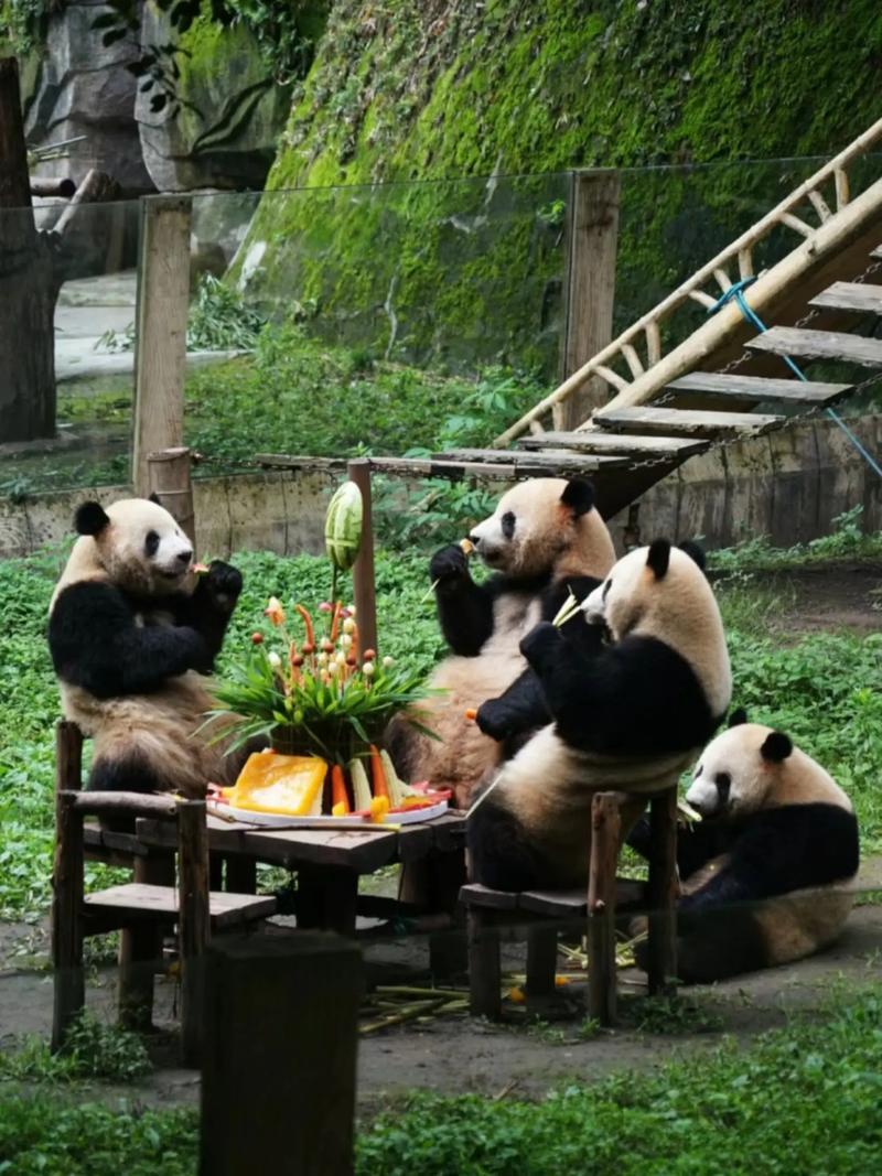 重庆动物园攻略「重庆旅游 美食」 旅游指南 重庆动物园攻略「重庆旅游 美食」 重庆动物园攻略「重庆旅游 美食」 旅游指南