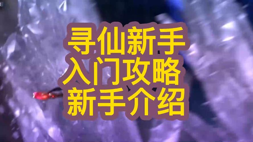 寻仙新手入门攻略「新手做旅游该怎么做」 生活技巧 寻仙新手入门攻略「新手做旅游该怎么做」 寻仙新手入门攻略「新手做旅游该怎么做」 生活技巧