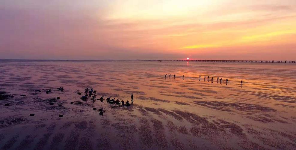 南通看海自驾游最佳地点「国内沙滩旅游景点」 旅游指南 南通看海自驾游最佳地点「国内沙滩旅游景点」 南通看海自驾游最佳地点「国内沙滩旅游景点」 旅游指南